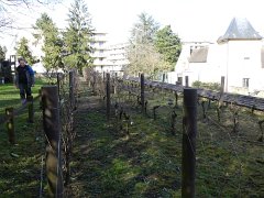 2018-03-11-meudon (113)